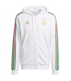 Veste Italie EURO 2024/2025 Capuche