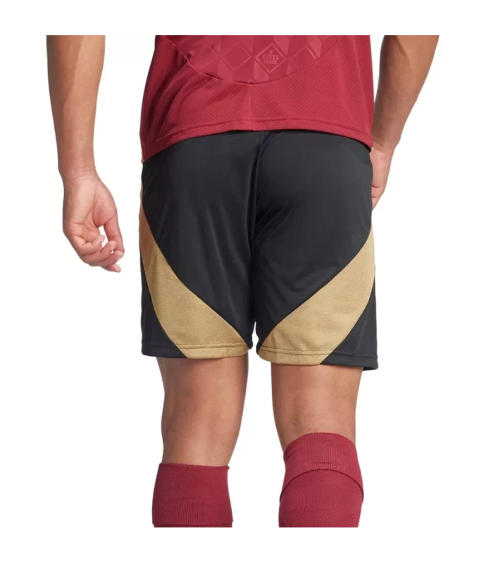 Ensemble Maillot Short Belgique EURO 2024/2025 Domicile