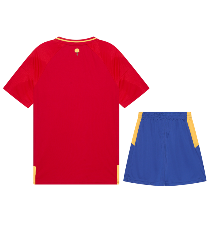 Ensemble Maillot Short Espagne Enfant EURO 2024/2025 Entrainement