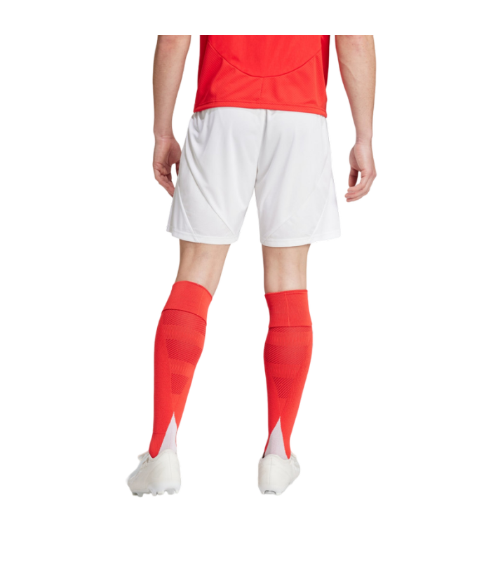 Ensemble Benfica Maillot Short 2024/2025 Domicile