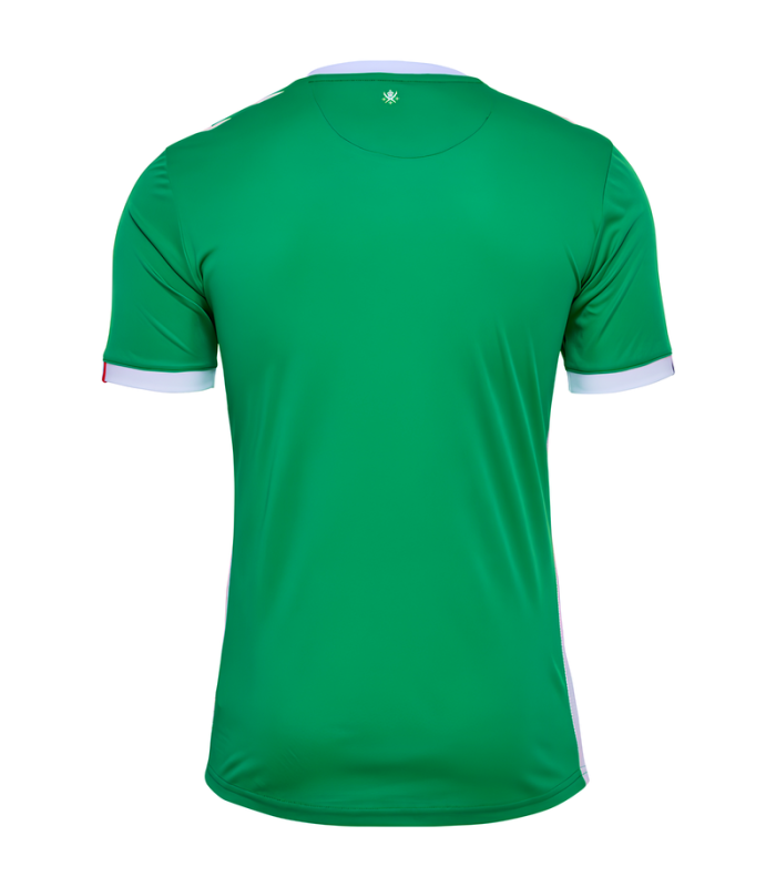 Maillot ASSE AS Saint Etienne 2024/2025 Domicile