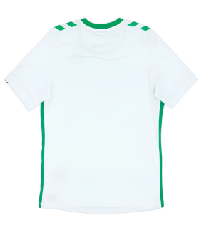 Maillot AS Saint Etienne 2024/2025 Extérieur