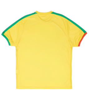 Maillot Guadeloupe 2024/2025 Third