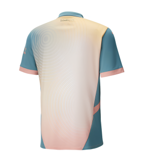 Maillot Manchester City 2024/2025 Fourth