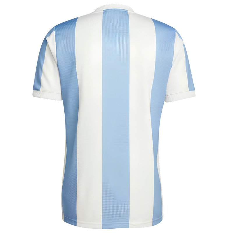 Maillot Argentine 50ème Anniversaire 50 ans Collector 2024/2025 Domicile