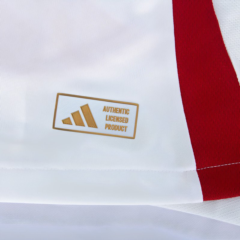 Maillot Japon 2024/2025 Extérieur Authentique