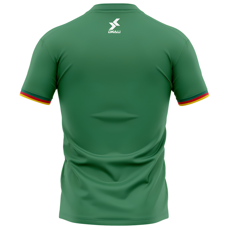 Maillot Cameroun 2025 Vert