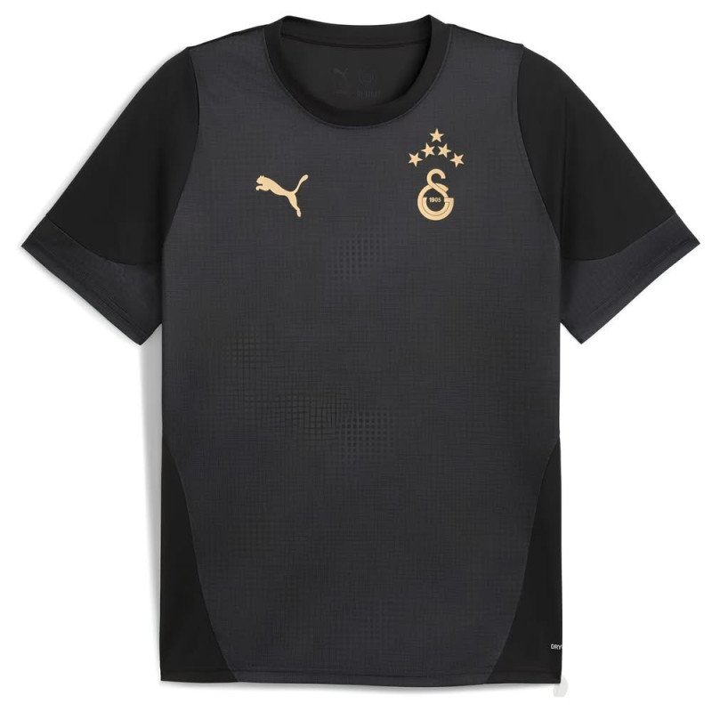 Maillot Galatasaray 2025/2026 Entrainement - Puma