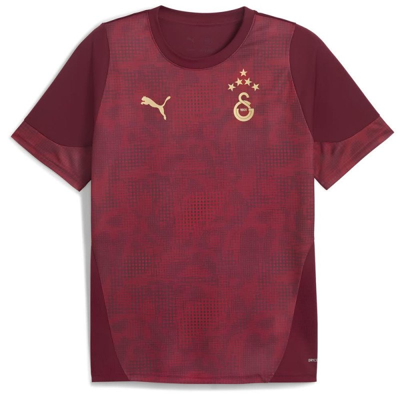 Maillot Galatasaray 2025/2026 Entrainement - Puma