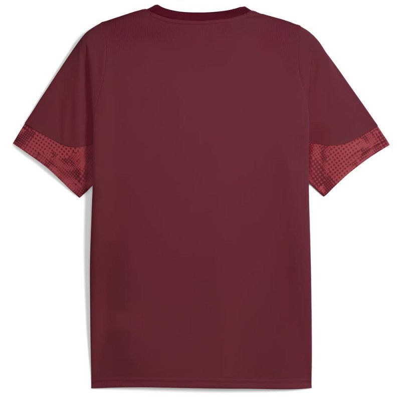 Maillot Galatasaray 2025/2026 Entrainement - Puma