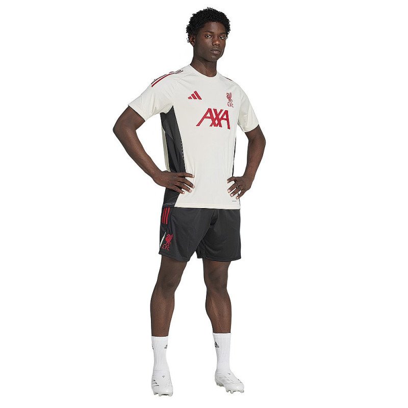 Ensemble Maillot Short Liverpool 2025/2026 Entrainement - Adidas