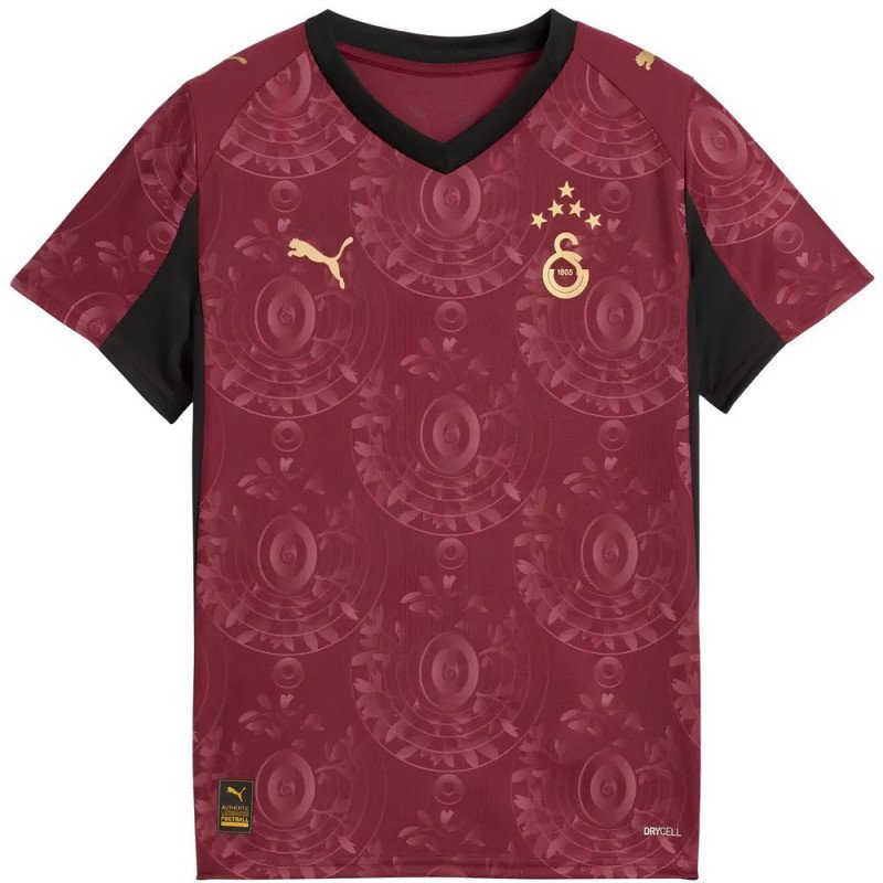  Maillot Galatasaray Enfant 2025/2026 Third - Puma