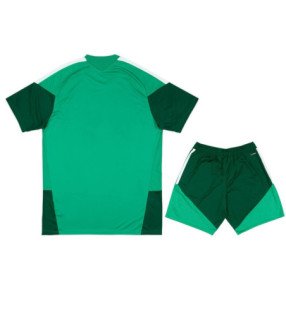 Ensemble Maillot Short Algérie COUPE DU MONDE 2026/2027 - Adidas